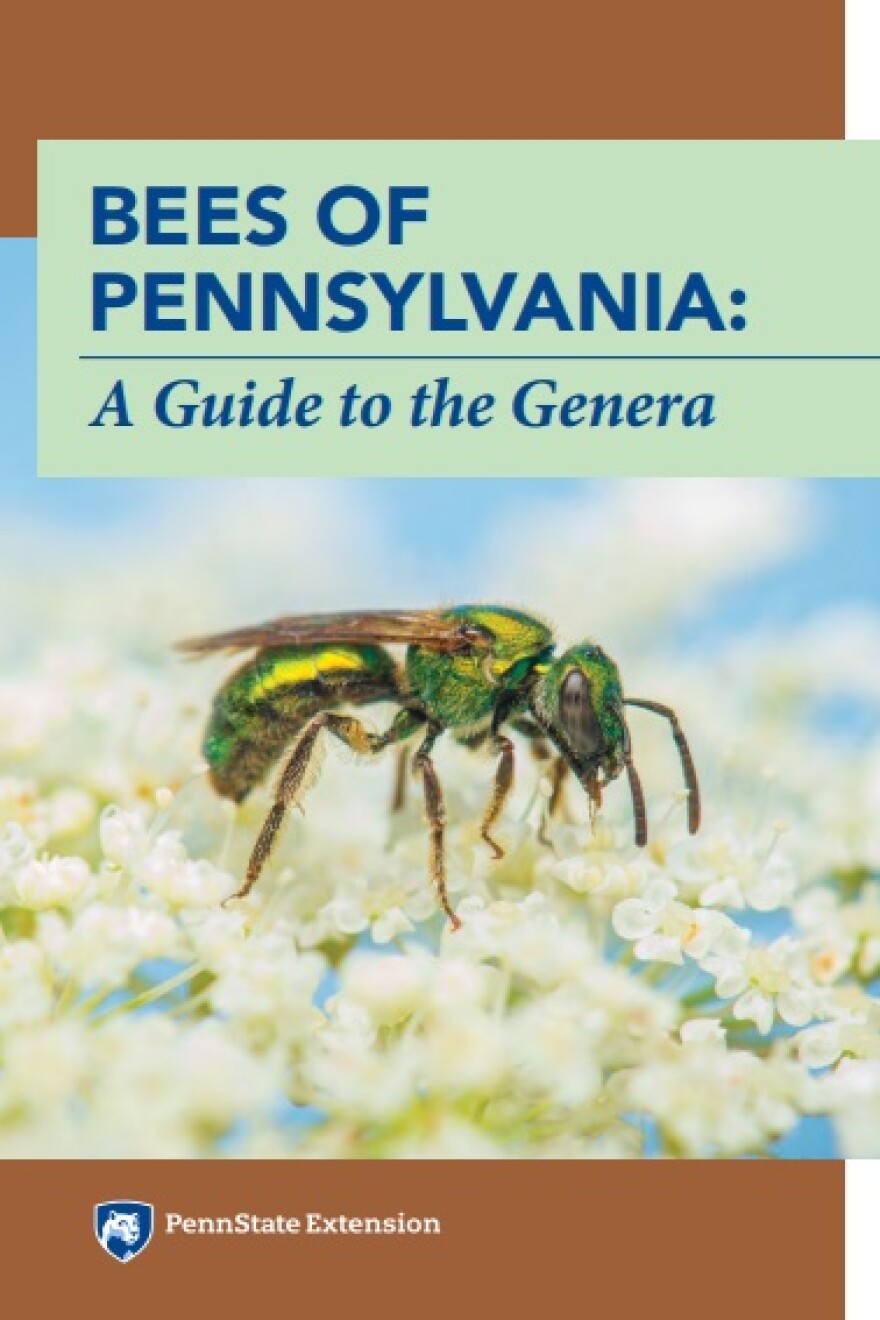 Bees of Pennsylvania.jpg