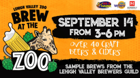 Brew at the Zoo 2024