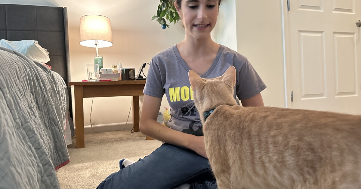 The power of pawsitivity: This animal trainer takes an upbeat approach in pet training The power of pawsitivity: This animal trainer takes an upbeat approach in pet training