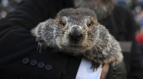 APTOPIX Groundhog Day