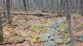 First Day HIkes